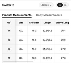 Plus Size Lantern Sleeve Blouse for Women | Modelyn